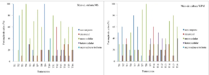 Figura  3.  Calejamento  em  explantes  oriundos  de  folíolos  e  segmentos  radiculares  de  Jacarandá  da  Bahia  (Dalbergia  nigra)  na  décima  segunda  semana  de  cultivo  em  meio  de  cultura  MS  e  WPM  suplementado  com  diferentes  concentraçõ