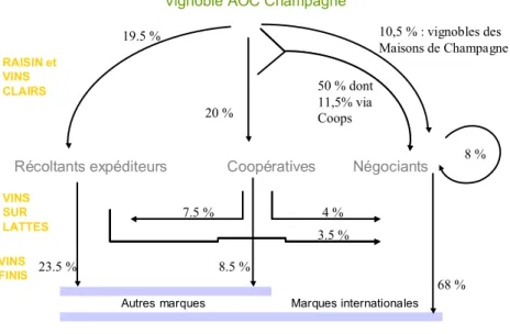 Figure 9 - Schéma simplifié de l’organisation de la filière : flux entre acteurs par grande étape de production 