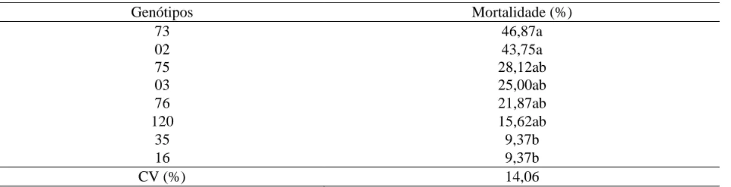 Tabela 1: Mortalidade de diferentes genótipos de C. canephora em condições de campo após 14 anos do plantio