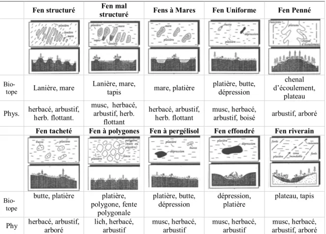 Figure 5.4-5 : Représentation des sous-formes des fens en milieu boréal et subarctique  selon leurs morphologies, leurs biotopes et leurs physionomies 