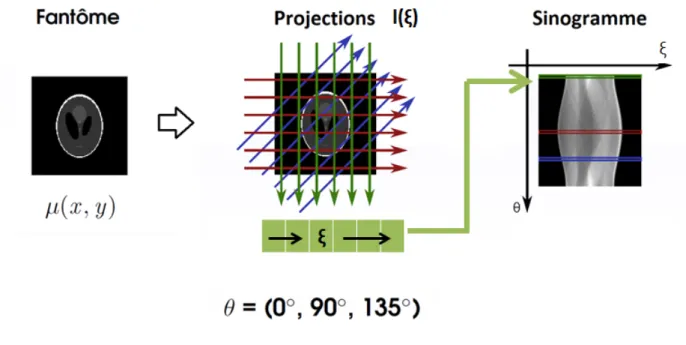 Figure 3.1 – Sinogramme d’un fantˆ ome de CT.