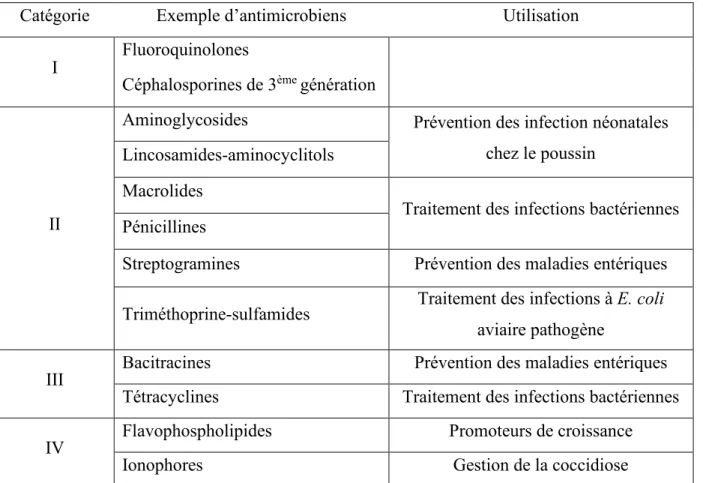 Tableau I : Catégories d’antibiotiques d’importance en production avicole 