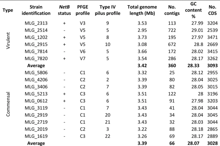Tableau  X: Virulent and commensal C. perfringens  strains’ profiles  and genome assembly  description 