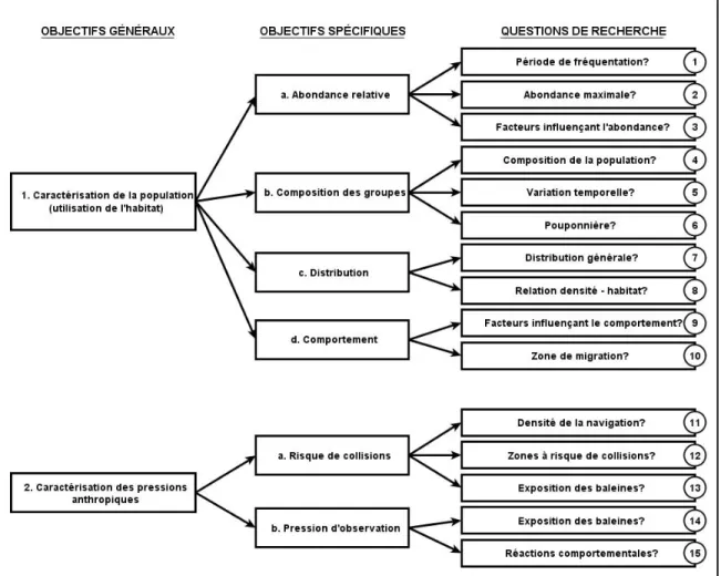 Figure 8 : Représentation schématique des objectifs généraux, des objectifs spécifiques  et des questions de recherche