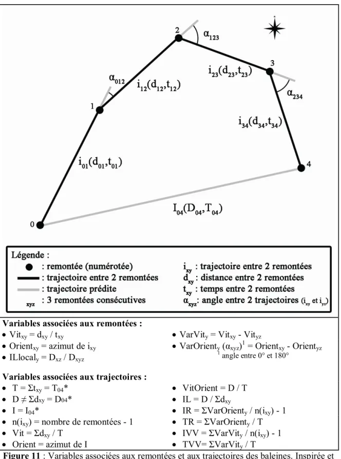 Figure 11 : Variables associées aux remontées et aux trajectoires des baleines. Inspirée et  adaptée de Williams et al, 2002b