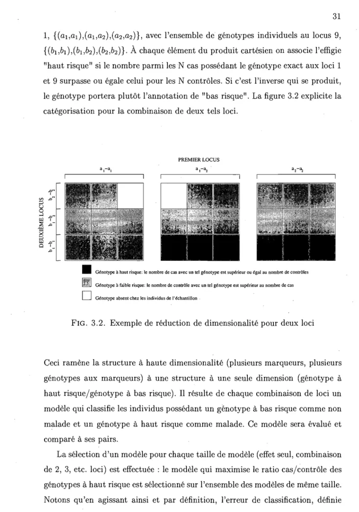FIG.  3.2.  Exemple  de  réduction  de  dimension alité pour deux  loci 