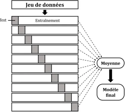 Figure  6.  Exemple graphique du  processus de validation croisée selon  lequel un jeu de données est séparé en dix  jeux de données incluant un échantillon  test de 10% et un échantillon  d’entraînement de 90%