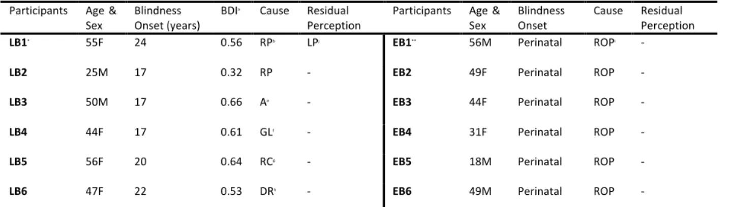 Table 1. Blind participants’ characteristics 