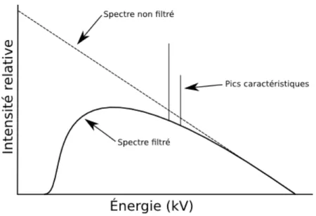 Figure 2.5 : Exemple d’un spectre générique d’un tube à rayons-X. On y retrouve la forme du spectre de bremsstrahlung avant et après la filtration ainsi que les pics associés aux énergies caractéristiques de l’anode.