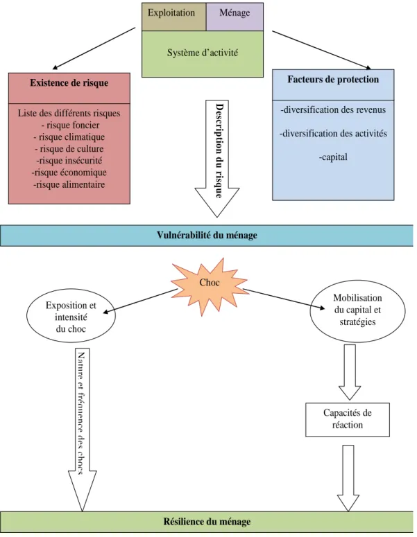 Figure 2. Schéma de vulnérabilité et résilience des systèmes d’activité 
