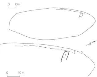 Fig. 2  —  Plan  de Voppidum  au  milieu  du  ve  s.  avant J.-C. 