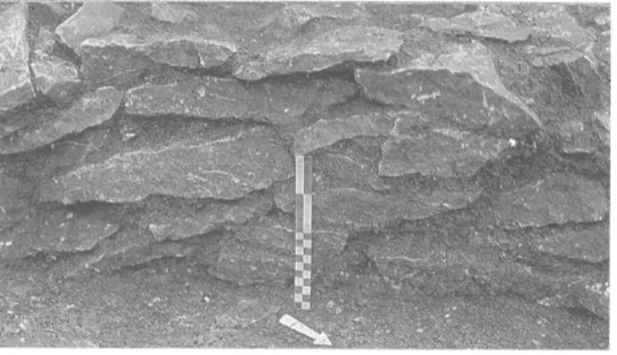 Fig.  9  Détail  du  parement  intérieur du  mur 54-3  dans  la  salle B.  L'échelle  mesure  20  cm