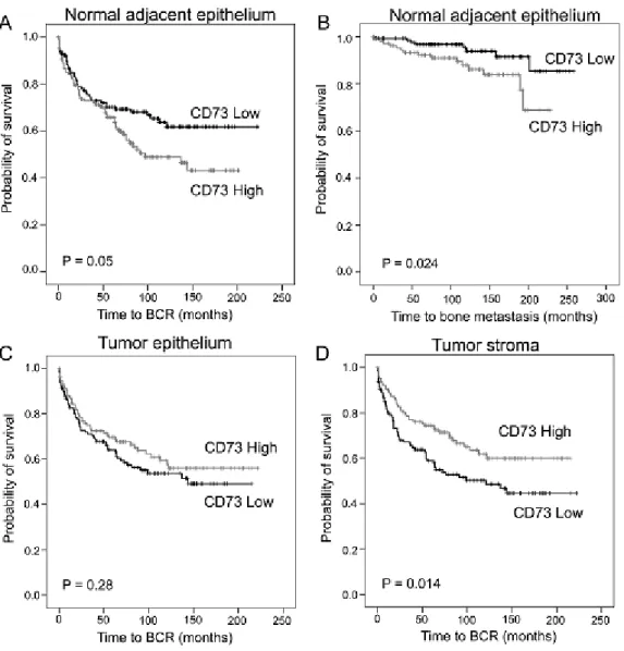 Figure 1. Prognostic impact of CD73 in prostate cancer.  