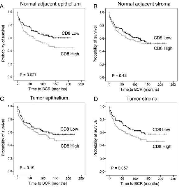 Figure 2. Prognostic impact of CD8+ cell density in prostate cancer.  
