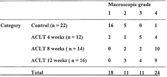 Table V: Macroscopic evaluation resuits