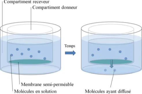 Figure 1.6 Schématisation du test PAMPA 