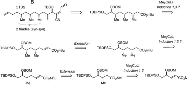 Figure 1.8. Hypothèse de départ pour la rétrosynthèse de la chaîne déoxypropionate B.