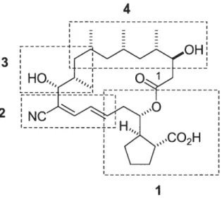 Figure 1.10: La synthèse totale de la borrelidine: Un travail d’équipe.