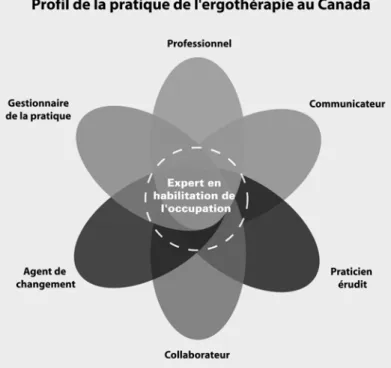Figure 4 – Adaptation du Cadre de compétences CanMEDS 2005 pour les médecins par  l’Association canadienne des ergothérapeutes : le Profil de la pratique de l’ergothérapie  au Canada (2007) (24) (p.5) 