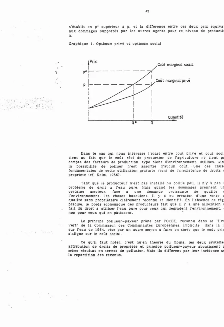 Graphique 1. Optimum privé et optimum social