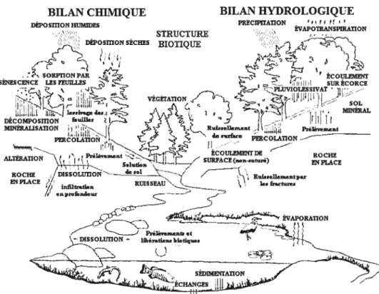 Figure 1.4. Modèle conceptuel des interconnections des processus physiques, chimiques et biologiques à l’intérieur d’un bassin versant forestier