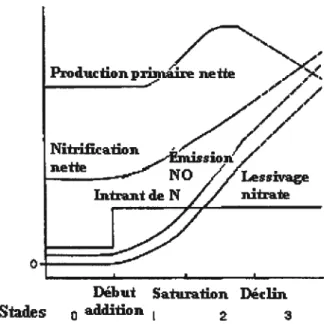 Figure 2.1. Stades de saturation en azote. Modifié de Fenn et al. (199$).
