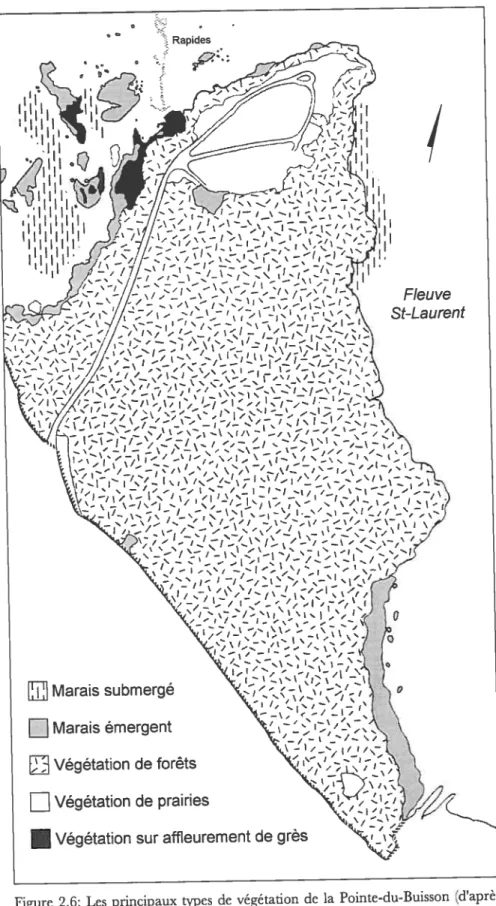 figure 2.6: Les principaux types de végétation de la Pointe-du-Buisson (d’après Beaumont et Mousseau 1982: 21).