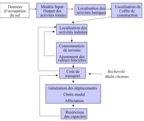 Figure 7 : l’architecture du modèle TRANUS  Modèle  Input-Output des activités totalesDonnées d’occupation du sol  Localisation des activités basiques Localisation de l’offre de construction  Localisation des activités induites Consommation  de terrains  A