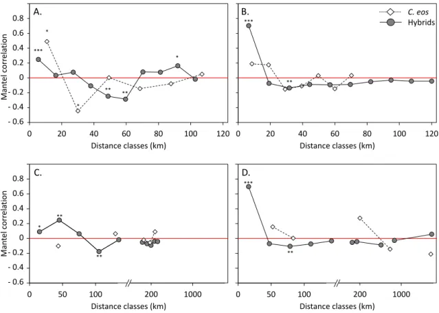 Figure 2.4.  Mantel  correlograms  of  the  distribution  of  the  hybrid  lineages  and  C