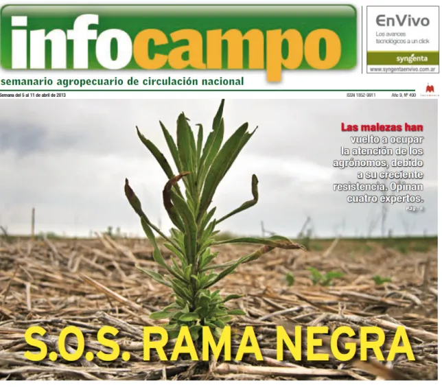 Figure 7 – Première page du journal Infocampo 