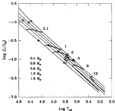 Figure 1 :  Courbe d'évolution de 5 étoiles de masse différente (M=O.4, 0.6, 0.8, 1.0, 1.2,  de  haut  en  bas)  d'étoile  naines  blanches  de  type  DA  dans  le  diagramme  H-R