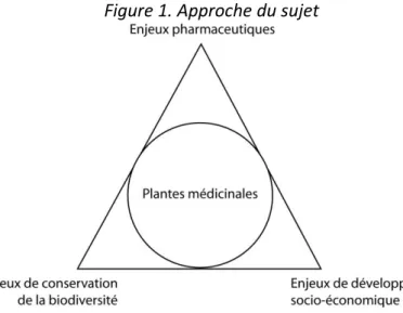 Figure 1. Approche du sujet 