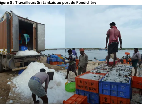 Figure 8 : Travailleurs Sri Lankais au port de Pondichéry 