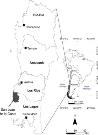 Figure 2. La commune de San Juan de la Costa (10 ème  Région de Los Lagos - Chili) 