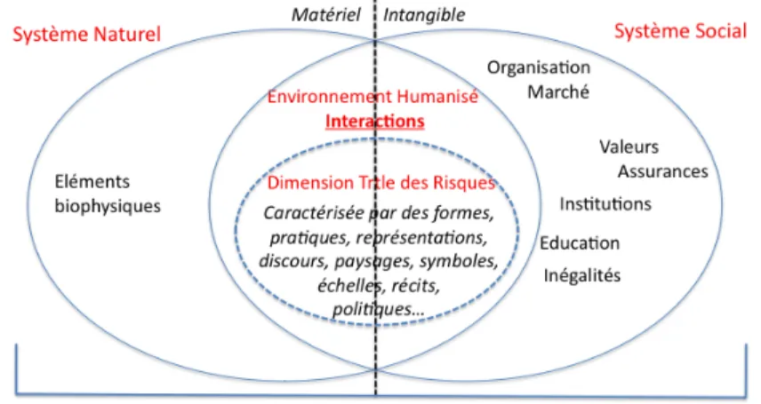 Figure 1. Les interactions société – environnement au cœur de la dimension territoriale des risques  