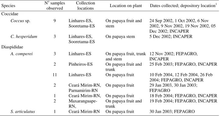 Table 1. Records of Coccidae and Diaspididae collected from papaya in Espiríto Santo and Rio Grande do Norte, Brazil.