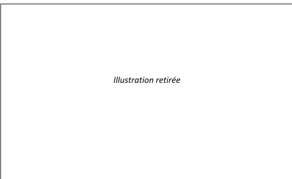 Figure 2 – Élévateur à grains n°5 (silo n°5). © 2010, Elsa Guyot. 