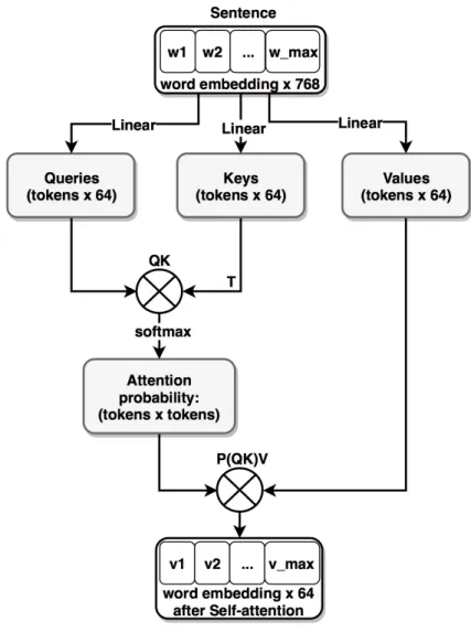 Figure 2.7. Flowchart of Self-attention. The number of 768 is an example of the dimension of word embedding vector, and 64 is an example of the dimension of word embedding after linear transformer.