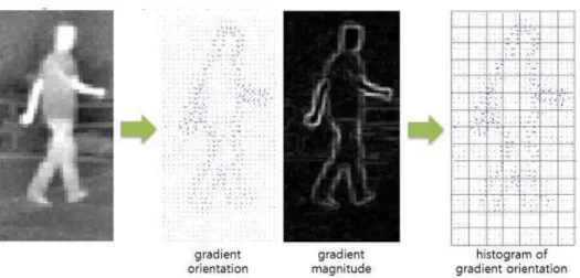 Figure 2.5: The feature histogram of orientated gradient (HOG) is widely used in the human detection area [12].