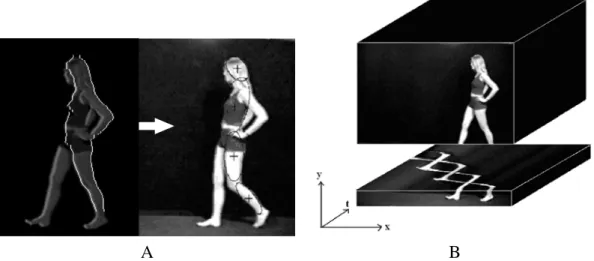 Figure 2.10: (A) In [1], the gait is obtained by first finding body contours (left image), then performing ellipse estimation for each body part within these contours