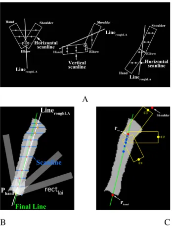 Figure 3.8: (A) Scanline type decision (horizontal or vertical) depends on Line roughLA orientation and hand location