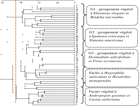 Figure 2 : Partition des relevés en groupements végétaux 