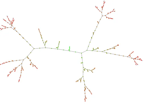 Figure 1.1. Un arbre de Galton-Watson