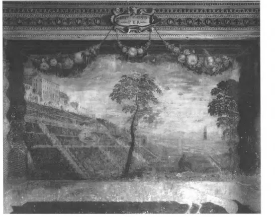 Fig.  6.  Veduta  di villa  d'Este  (Tivoli,  villa  d'Este:  salone,  parete sud-ovest)