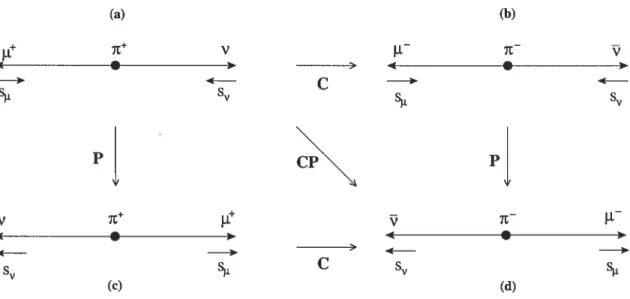 fIG. 1.1 — Désintégration et transformations discrètes P, C et C?.