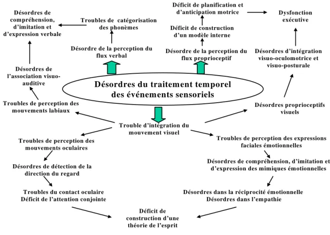 Figure 1. Schéma synthétique des cascades ‘maldéveloppementales’ secondaires à des désordres du traitement  temporospatial des flux sensoriels dans l’autisme (repris de Gepner, 2005)