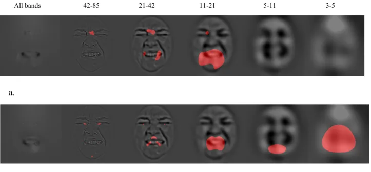 Figure 2. Classification images of the pain expression for the human  observers (a) and the ideal observer (b)
