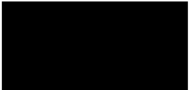 Figure 6 - Caméra lucida 