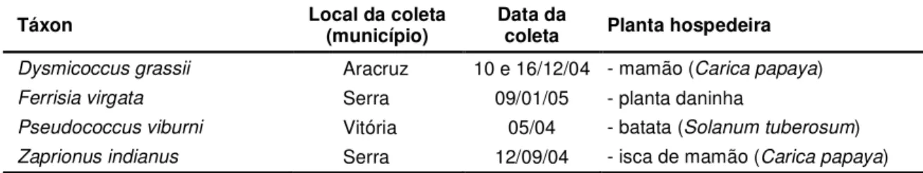 TABELA 1 – Relação de novas espécies-pragas potencias do mamoeiro no Estado do Espírito Santo registradas nos anos de 2004 e 2005