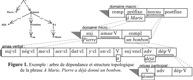 Figure 1.  Exemple : arbre de dépendance et structure topologique  de la phrase A Marie, Pierre a déjà donné un bonbon